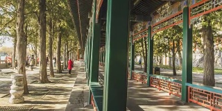 游人漫步在北京颐和园的长廊和梧桐树下