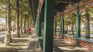 游人漫步在北京颐和园的长廊和梧桐树下视频素材模板下载