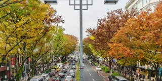 4K时间流逝:人群穿过参渡路。表山道被认为是世界上最大的城市东京最重要的购物区之一。