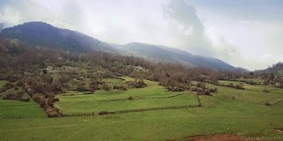 无人机鸟瞰意大利风景:野地里的野马