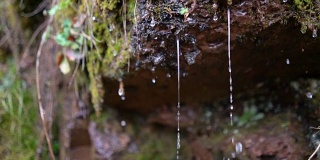 水滴从苔藓覆盖的岩石上落下