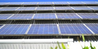 淘金:绿色太阳能电池