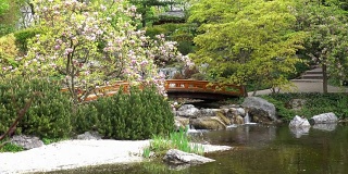 日本花园与超级缩放效果
