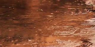 泰国雨季的雨滴(变焦镜头)