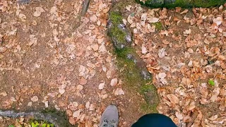 在森林小径上徒步旅行的单身男子视频素材模板下载