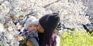 亚洲妇女亲吻她的孩子在樱花下
