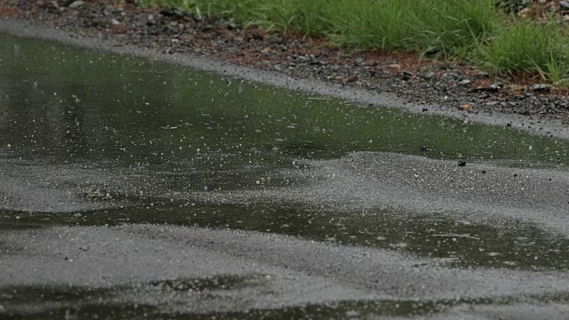 大雨滂沱