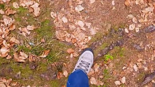 在森林小径上徒步旅行的单身女子视频素材模板下载