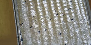 海盐养殖鸟瞰图