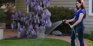 年轻女子给花园浇水