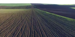 Beautiful field arial view