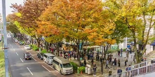 4K时光流逝缩小镜头:人群穿过参渡路。表山道被认为是世界上最大的城市东京最重要的购物区之一。