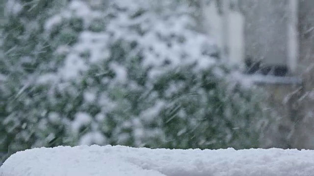 春天下雪