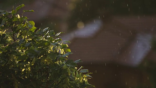 夏季风暴