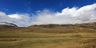 新疆的秋景