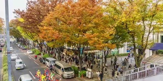 4K延时平移:人群穿过表手山渡路。表山道被认为是世界上最大的城市东京最重要的购物区之一。
