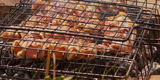 生肉，鸡肉串和培根放在烧烤架上