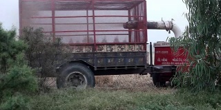 小麦收获后用拖拉机制作秸秆