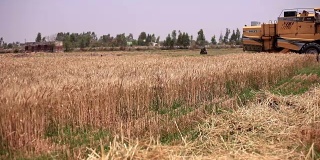 联合收割机在小麦收获期间