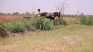 农夫骑着马车去田里视频素材模板下载