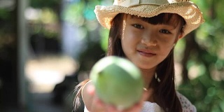 善良的园丁给绿色芒果在她的手中