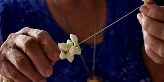 亚洲老妇人制作茉莉花花环