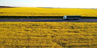 油菜籽田附近高速公路上卡车的鸟瞰图