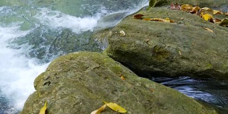 特写瀑布与绿色自然宁静的场景，摄影车拍摄