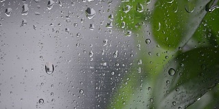 雨后水滴在窗玻璃上。