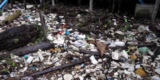 泰国沙慕普拉坎红树林的岸上垃圾。