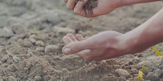 农业-农民接触土壤。