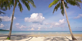 热带沙滩上的棕榈门