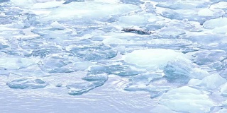 冰山漂浮在冰岛Vatnajokull冰川的Jokulsarlon泻湖