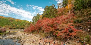 时光流逝:日本名古屋红叶秋园