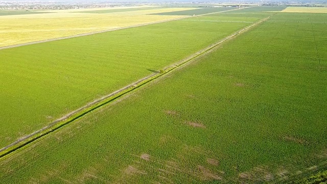 平原地区小麦、大豆生产