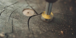 木材工业- DIY -在木材上钻孔。