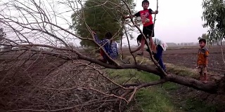孩子们在玩倒下的树