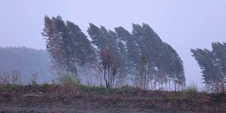 暴雨