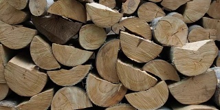 大型林业木材桩