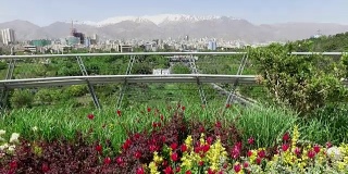 漫步在伊朗德黑兰的塔比亚特桥上