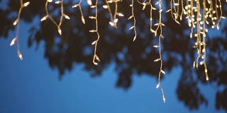 装饰灯串挂在树上。抽象模糊的背景。