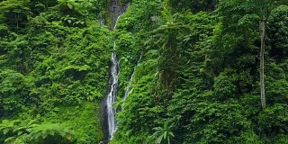 4K:无人机拍摄的Madakaripura瀑布，东爪哇，印度尼西亚