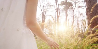 SLO MO女人的手触摸草花在日落。