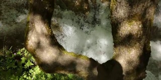 瀑布，兹拉蒂博尔山戈斯提耶河瀑布的特写