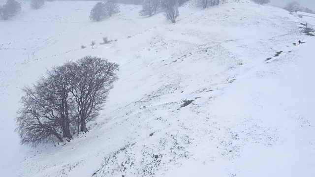 春天的雪在日内瓦附近的山上，沙勒维，法国