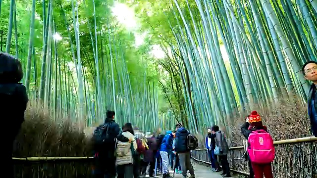 荒山竹林里挤满了人