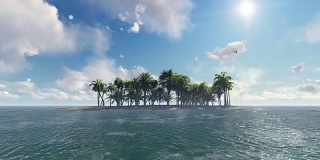 棕榈树岛