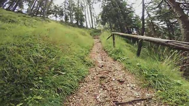 一个男人在森林里越野跑的视频