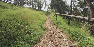 一个男人在森林里越野跑的视频