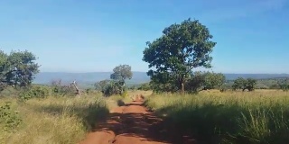崎岖的土路在Akagera狩猎，卢旺达